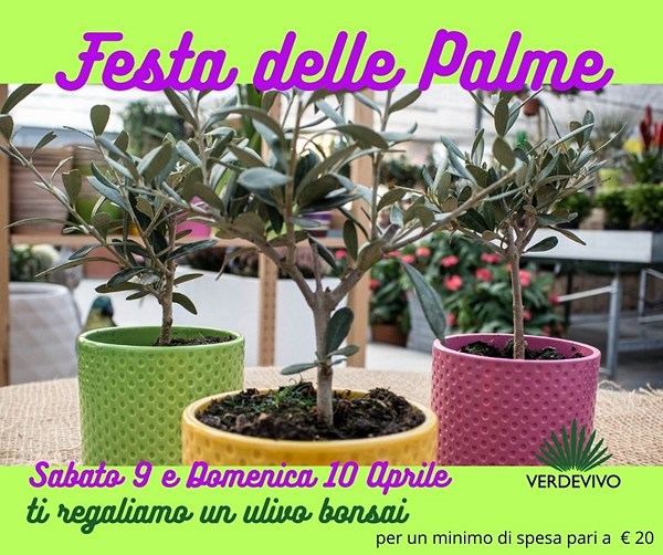 Festa delle Palme